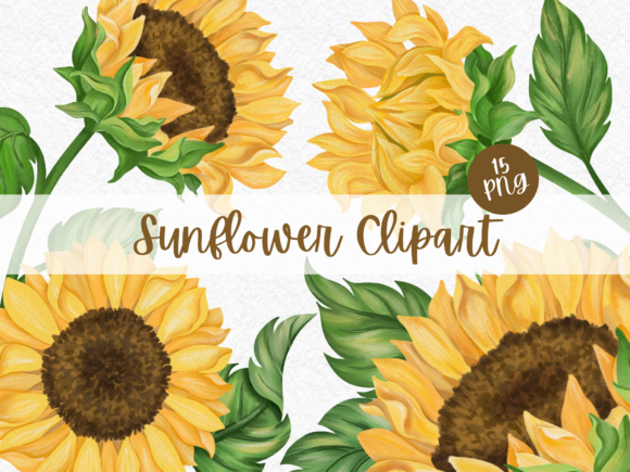 Download Sunflower Watercolor Digital Clipart - Digital Collection